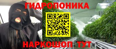 прущая мука Лесосибирск