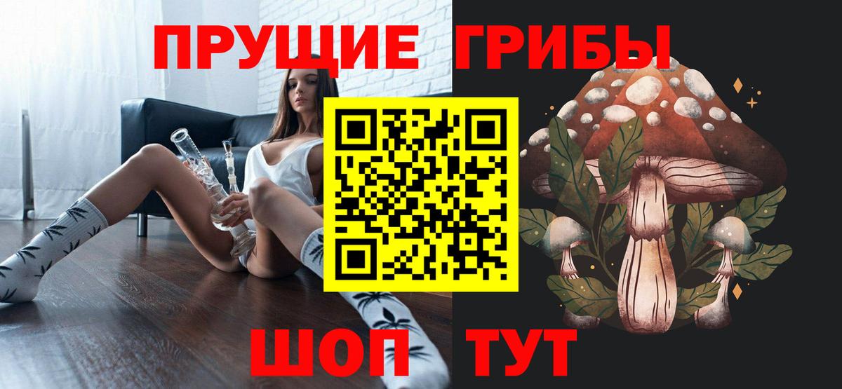 Аксай  Галлюциногенные грибы Psilocybine cubensis  Вход с VPN 